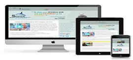 mobile development